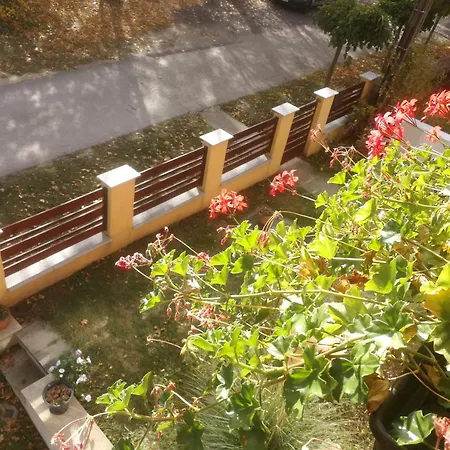 Napraforgo Vendeghaz * Balatonvilágos