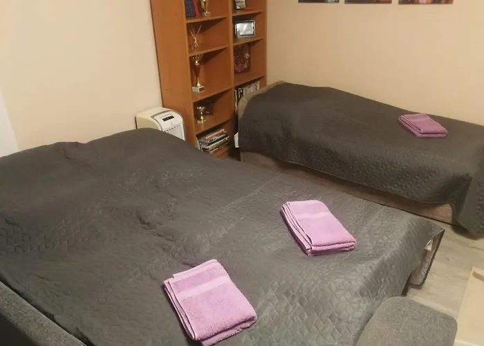 Napraforgó Apartman Balatonvilágos