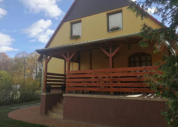 Napraforgo Vendeghaz *